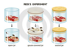 Francesco Redi`s experiment. Spontaneous generation