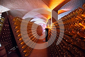 Franciacorta, Lombardy, Italy. Wine cellar, interior view