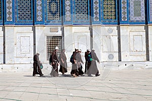 Franciscan Monk