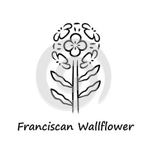 Franciscan wallflower linear icon. Garden flowering plant with name inscription. Erysimum franciscanum inflorescence