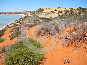 Francois Peron National Park, Shark Bay, Western Australia