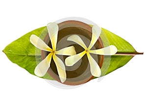 Frangipani in a bowl on a fresh banana leaf