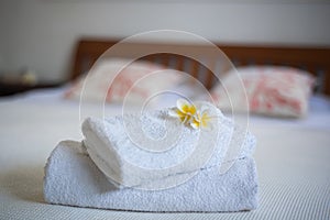 Frangipani flower on the bed