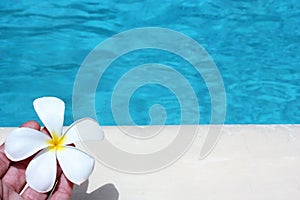 Frangipani flower tropical poolside background with copy space stock photo photograph image picture