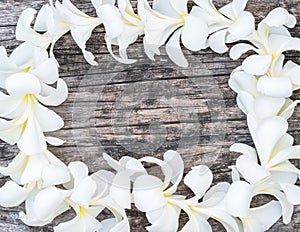 Frangipani Lei of Hawaiian island islander top view from above for Hawaii Lei day concept