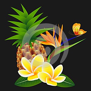 Frangipani Plumeria with a paradise flower and a butterfly, with pineapple on a black background.