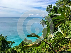 Frangipani tropical flower on blue water ocean background in Thailand