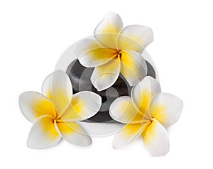 Frangipani on zen pebbles