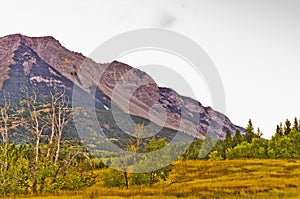 Frank mountain slide