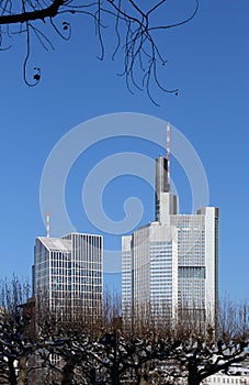 Frankfurt cityscape with skyscrapers