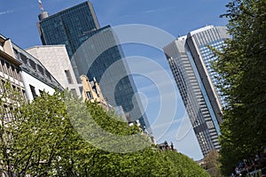 Frankfurt germany skyskraper in the spring