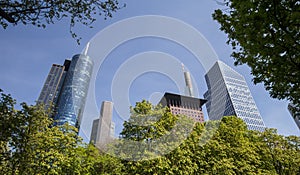 Frankfurt germany skyskraper in the spring