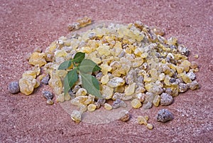 Frankincense Boswellia Papyrifera, resin and leaves, Incense f photo