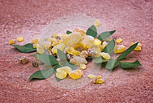 Frankincense Boswellia Papyrifera, resin and leaves, Incense f photo