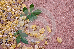 Frankincense Boswellia Papyrifera, resin and leaves, Incense f photo