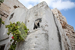 Frankish Castle, Paros, Greece