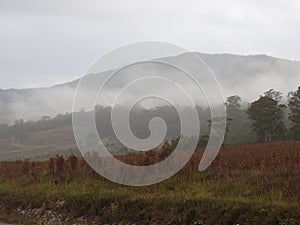 Franklin-Gordon Wild Rivers National Park, Tasmania