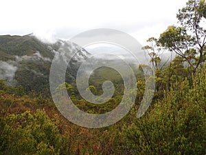 Franklin-Gordon Wild Rivers National Park, Tasmania