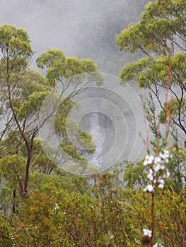 Franklin-Gordon Wild Rivers National Park, Tasmania