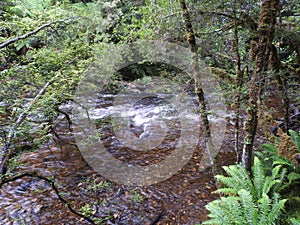 Franklin-Gordon Wild Rivers National Park, Tasmania