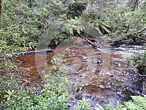 Franklin-Gordon Wild Rivers National Park, Tasmania