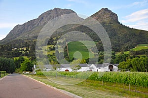 Franschhoek winelands home south africa