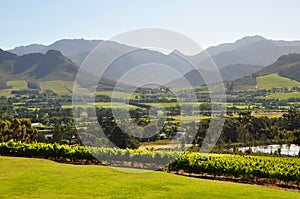 Franschhoek winelands Cape south africa.