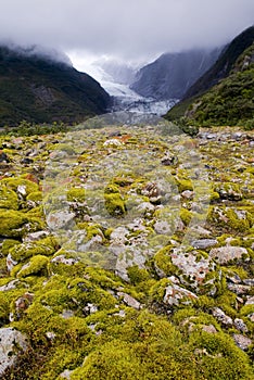 Franz Josef Glacier, New Zealand