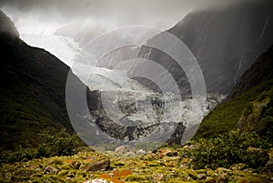 Franz Josef Glacier, New Zealand photo