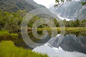 Franz Josef Glacier, New Zealand photo