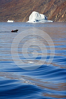 Franz Joseph Fjord - Greenland