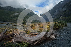 Franz joseph glacier south island new zealand importand landmark to traveling