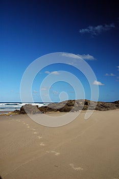 Fraser Island foot prints