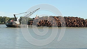 Fraser River Log Barge