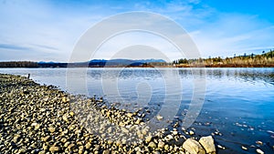 The Fraser River on the shore of Glen Valley Regional Park near Fort Langley, British Columbia, Canada