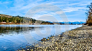 The Fraser River on the shore of Glen Valley Regional Park near Fort Langley, British Columbia, Canada