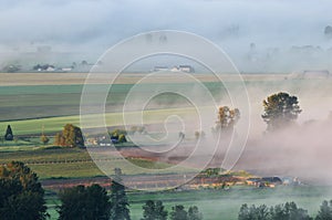 Fraser Valley at foggy sunrise