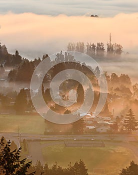 Fraser Valley Foggy Sunrise