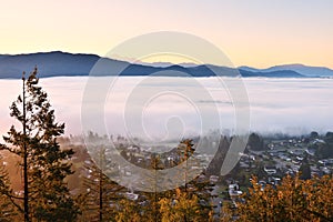 Fraser Valley Foggy Sunrise