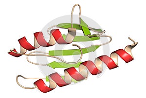 Frataxin (human) mitochondrial protein. Reduced expression causes Friedreich\'s ataxia. 3D illustration photo