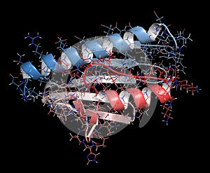 Frataxin (human) mitochondrial protein. Reduced expression causes Friedreich\'s ataxia. 3D illustration photo