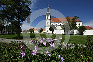 Frauenkirchen Basilika, Burgenland, Austria
