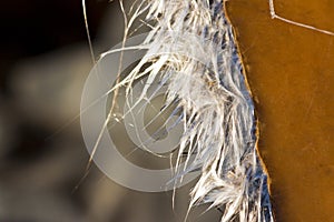 Frayed fiberglass detail - image with copy space