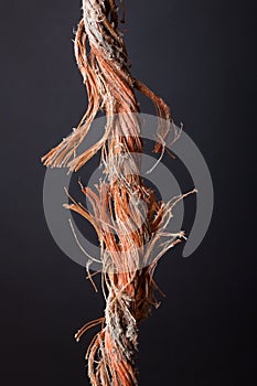 Frayed rope
