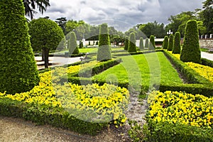 Freakish trees and flower beds photo