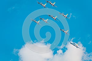 Frecce Tricolori Tricolour Arrows at Pisa Airshow, Italian National Acrobatic