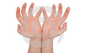 Freckled white hands, heels of hands together, fingers splayed and cupped, palms up. Female hand isolated