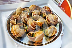 The fred grape snails with garlic butter