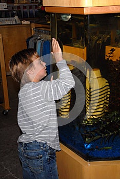 Fred Segal,Kylie Bax