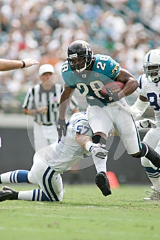Fred Taylor